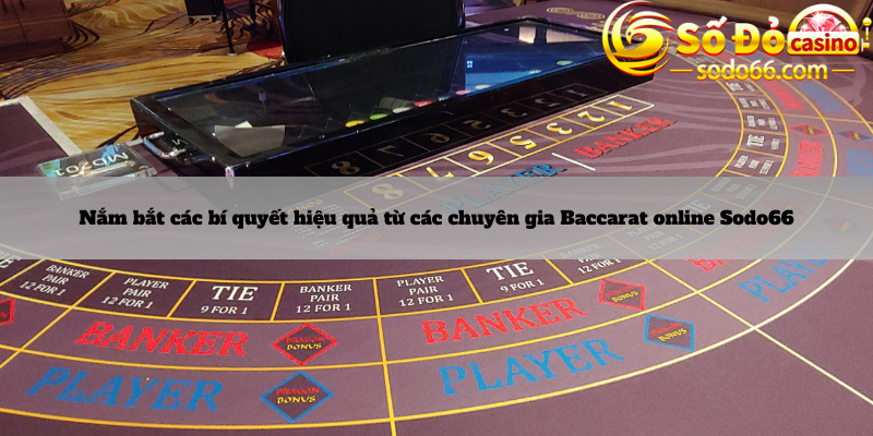 Nắm bắt các bí quyết hiệu quả từ các chuyên gia Baccarat online Sodo66