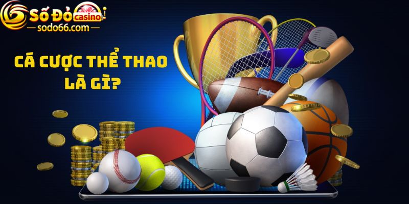 Cá cược thể thao là gì?