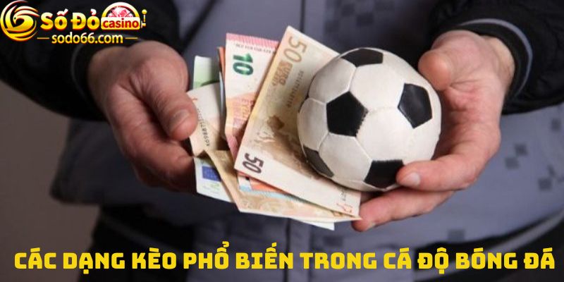 Các dạng kèo phổ biến trong cá độ bóng đá