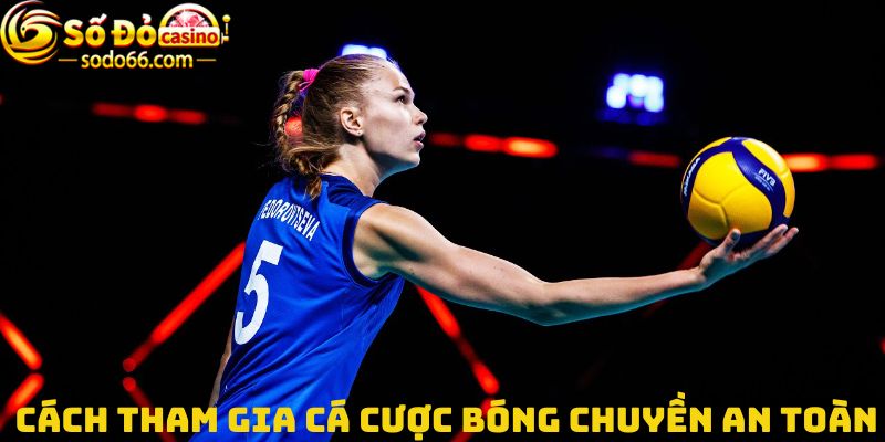 Cách tham gia cá cược bóng chuyền an toàn