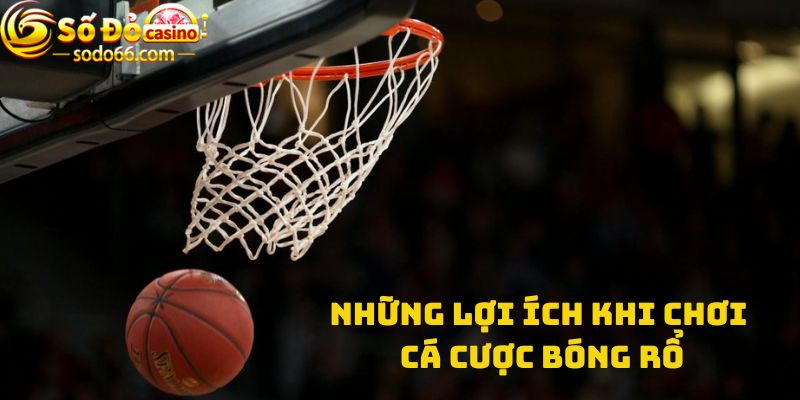 Những lợi ích khi chơi Cá cược bóng rổ