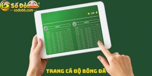 Trang cá độ bóng đá